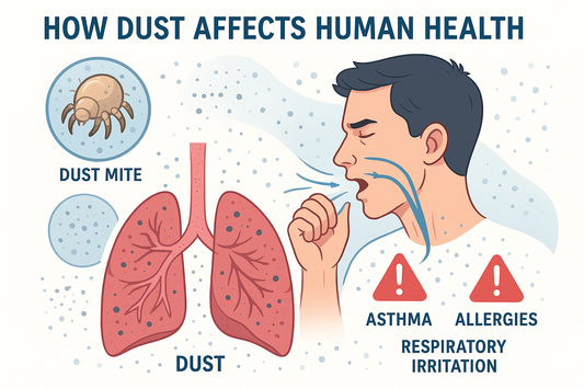 How Dust Can Seriously Affect Your Health